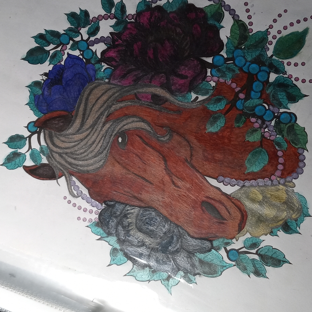 Colored Pages - Picture 4 of 4
